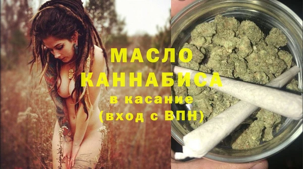 индика Михайлов