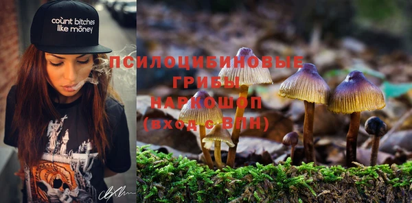 PSILOCYBIN Абаза