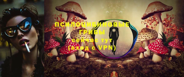 PSILOCYBIN Абаза