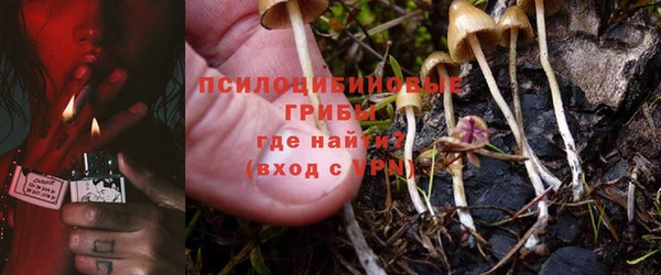 марки lsd Михайловск
