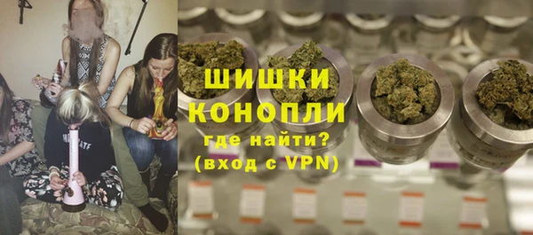 PSILOCYBIN Абаза